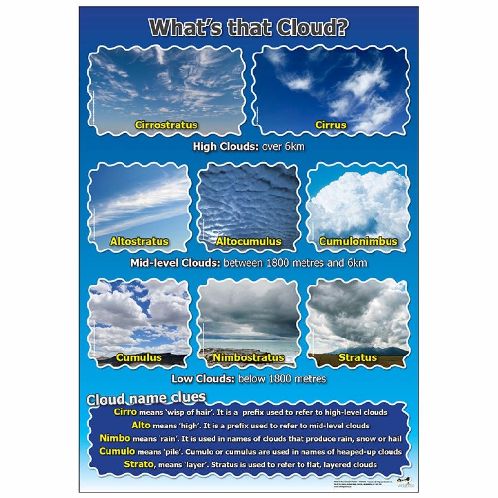 What's that Cloud? Poster | Wildgoose Education