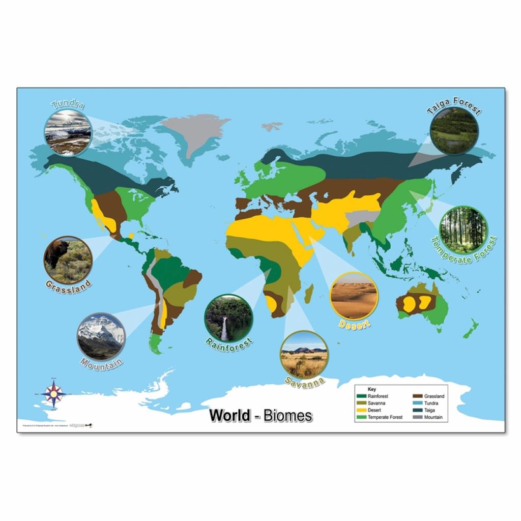 Tectonic Plates World Map Wildgoose Education 4034