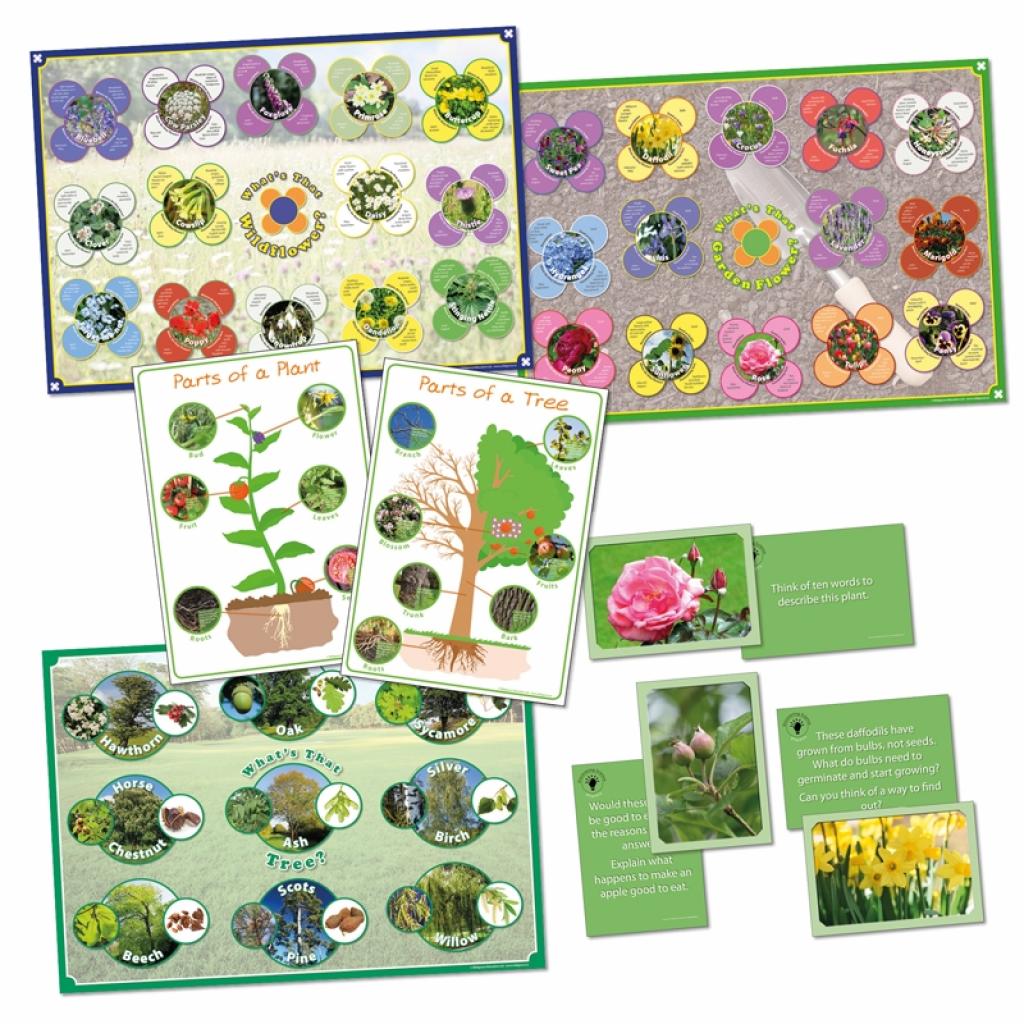 Plant posters and activity card pack