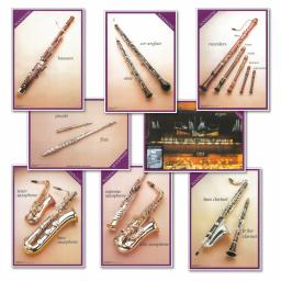 Woodwind Instruments Posters