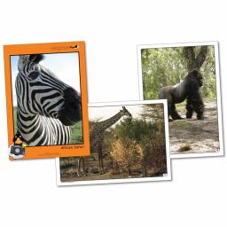 African Safari Photopack