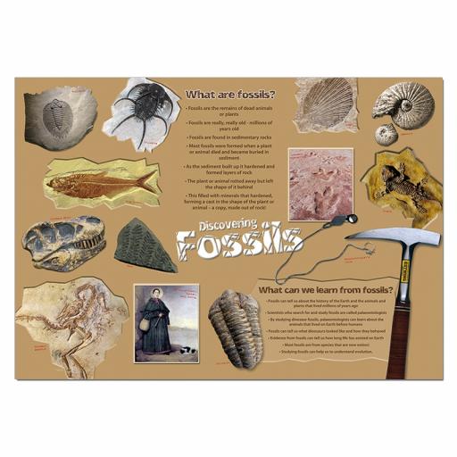 Discovering Fossils poster