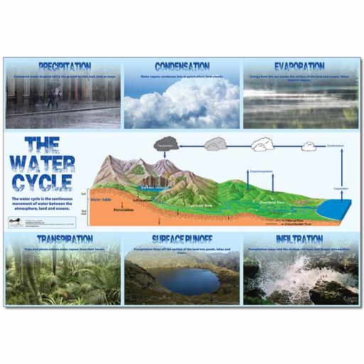 Water Cycle Poster