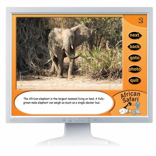 African Safari Digital Photopack