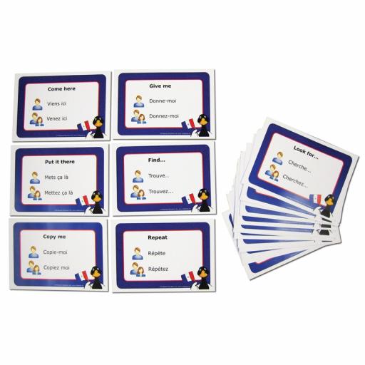 French Phrases Card Set