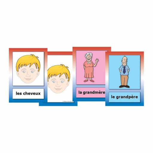 French Parts Of The Body & Family Flashcards