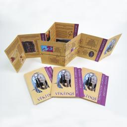 Vikings-Zig-zag.jpg
