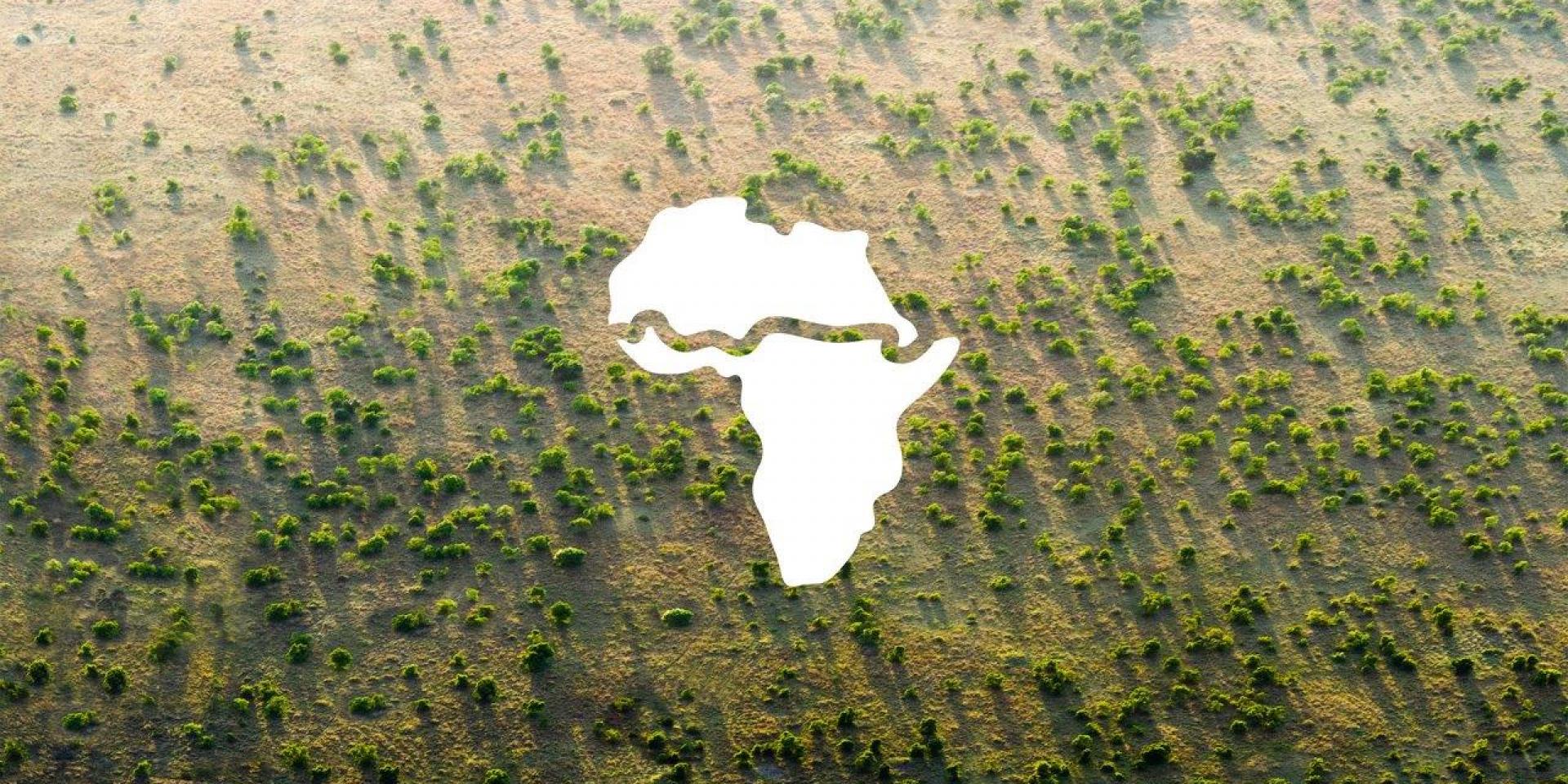 The Great Green Wall of Africa