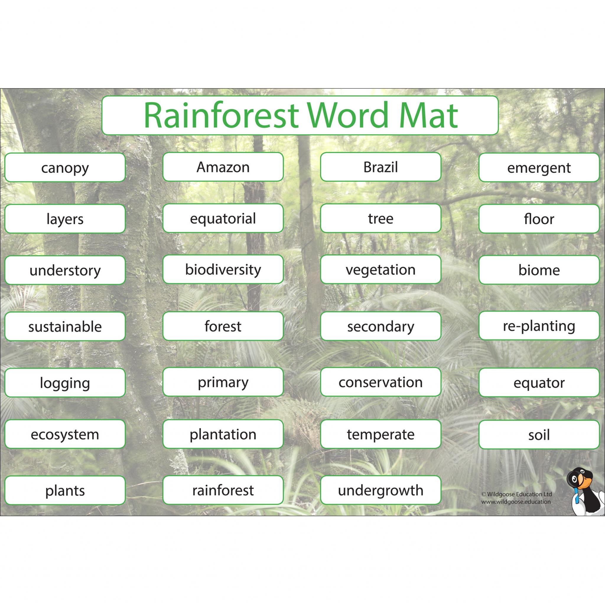 rainforest-word-mat-wildgoose-education