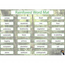 Rainforest Word Mat.jpg
