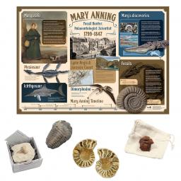 Mary Anning Collection.jpg