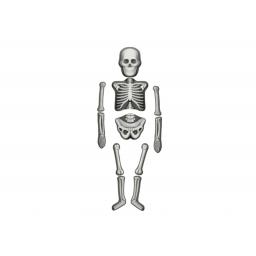 make & decorate - human skeleton (3).jpg