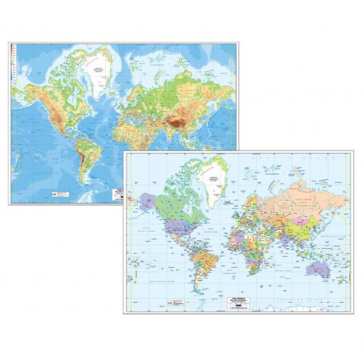 Large Reversible World Map