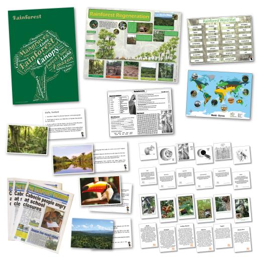 Rainforest Curriculum Pack