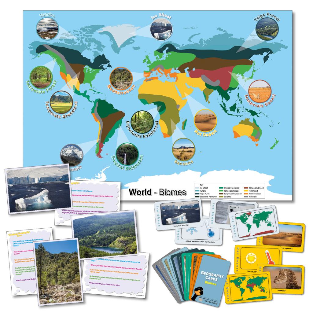 Biomes Curriculum Pack | Wildgoose Education